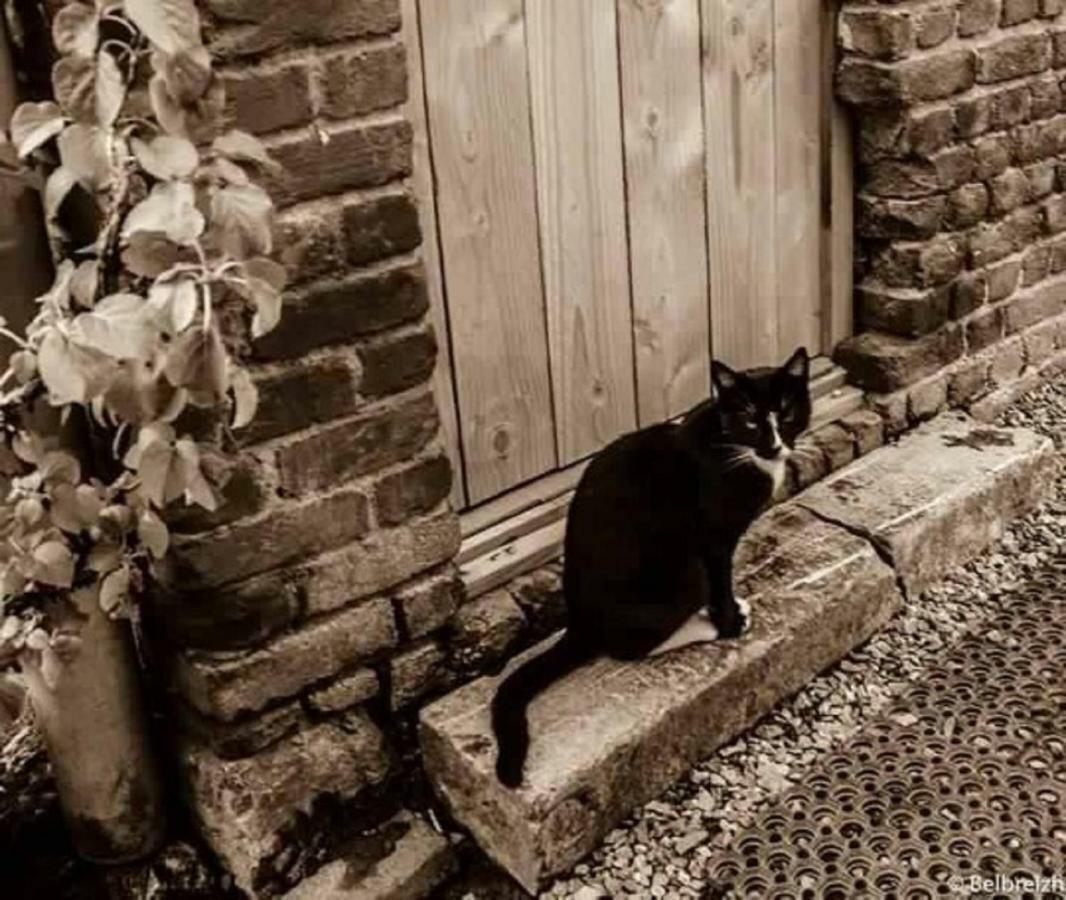 B&B Barvaux, Durbuy Dış mekan fotoğraf